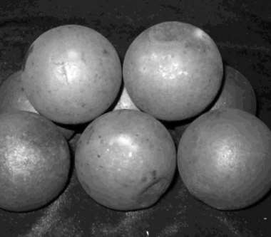 ���t��Ļ��W(xu��)�ɷֽ�B